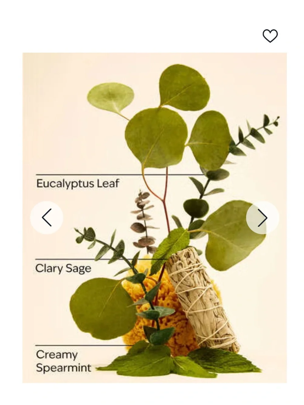 🌿 BBW Eucalyptus Spearmint Aromatherapy Moisturizing Conditioner NEW